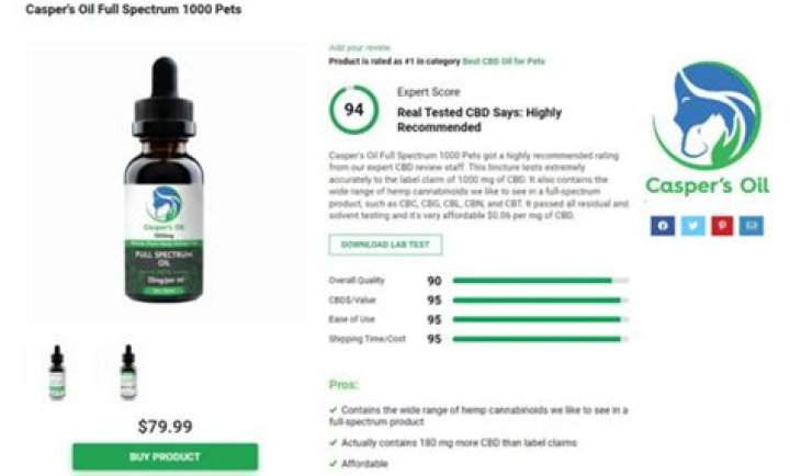 Best CBD Products of 2023 So Far – Hollywood Life