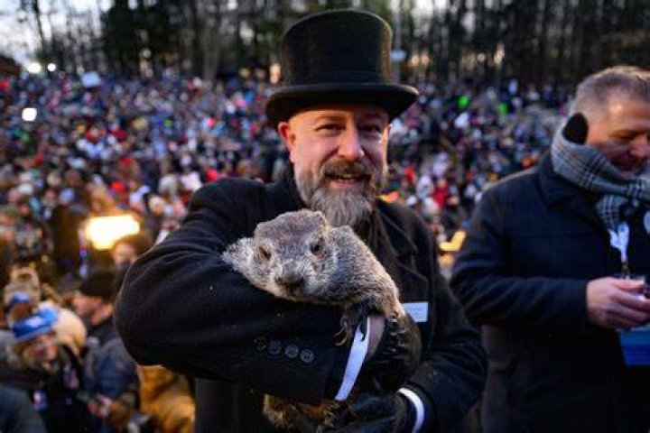 CNN’s Jim Acosta Calls Trump A ‘Grievance Groundhog — He Wakes Up Every Day Still A Loser’
