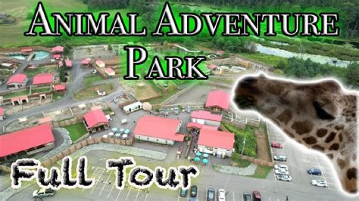 Fans Mourn The Animal Park Adventure Star – Hollywood Life